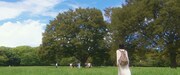 「温帯の君へ」場面写真