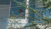 「バンコクでゴーストになる方法」場面写真