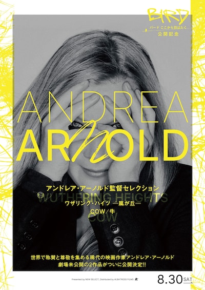 「アンドレア・アーノルド監督セレクション」ポスタービジュアル