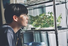 「恋に至る病」の新場面写真。蝶を育てている水槽を見つめる宮嶺望（なにわ男子・長尾謙杜）