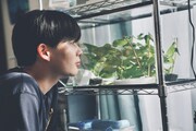 「恋に至る病」の新場面写真。蝶を育てている水槽を見つめる宮嶺望(なにわ男子・長尾謙杜)