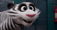 「ペット2」より、悪徳サーカス団に捕らわれているホワイトタイガーのフー