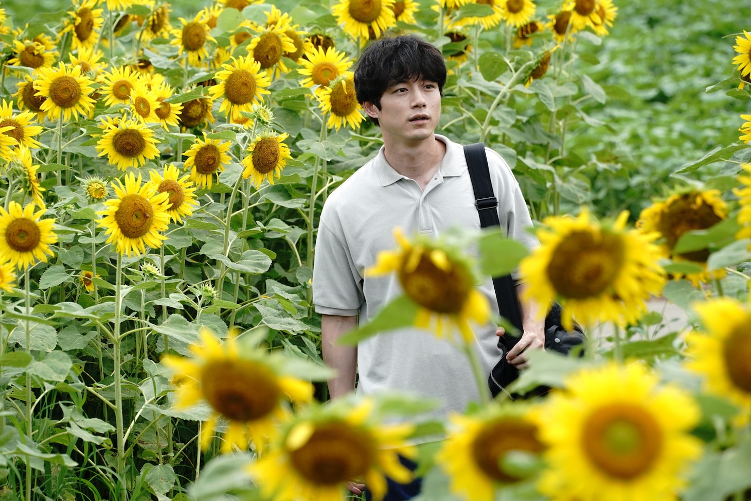 映画「盤上の向日葵」場面写真