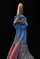 「火喰鳥を、喰う」完成披露試写会より、ヒクイドリの顔部分