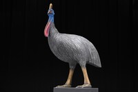 「火喰鳥を、喰う」完成披露試写会より、巨大なバルーンの中から現れたヒクイドリ