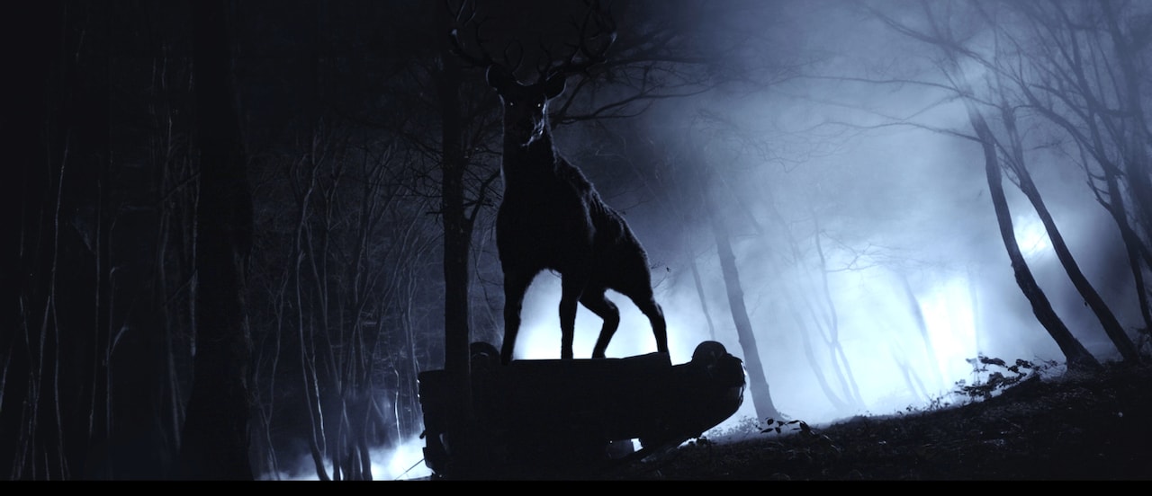 「子鹿のゾンビ」に工藤遥やバンビーノがコメント、本編映像も解禁