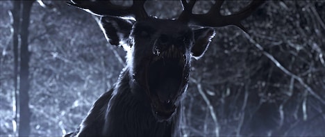 「子鹿のゾンビ」新場面写真