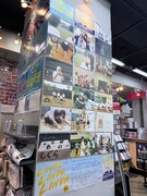 「リンダ愛が止まらない展」の様子