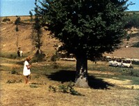 「トラス・オス・モンテス」場面写真