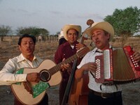 「テックス・メックス アコーディオン天国」場面写真 ©1976 Brazos Films, Chris Strachwitz, Les Blank ©2018 Brazos Films, Chris Strachwitz, Les Blank Films Inc.