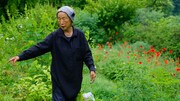 「大地に詩を書くように」場面写真