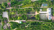 「大地に詩を書くように」場面写真