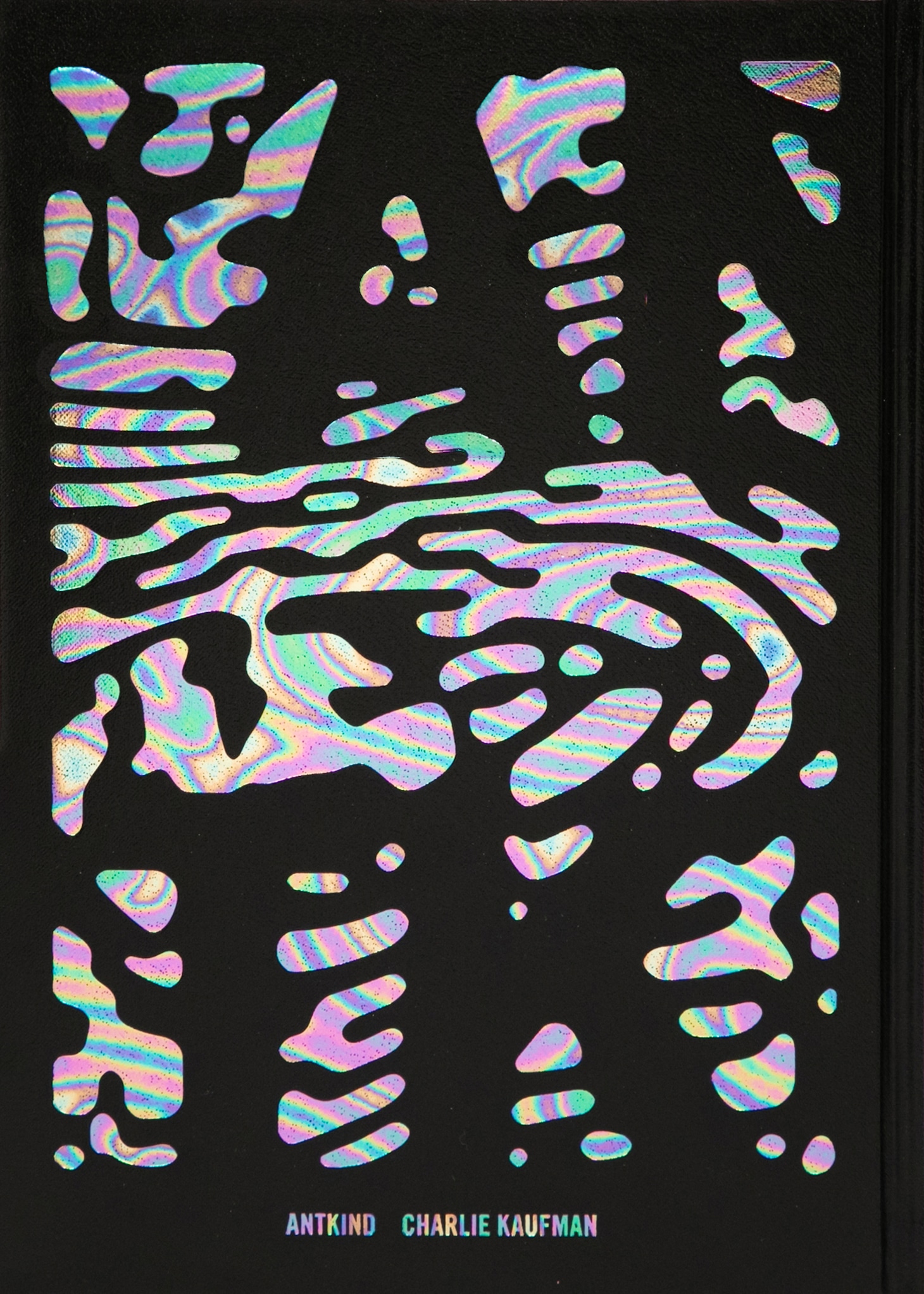 「アントカインド」書影