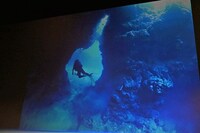 Lynnが披露した、宮古島で体験したダイビングの写真