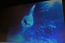 Lynnが披露した、宮古島で体験したダイビングの写真