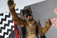 観客の撮影タイムでポーズを決めるオリバー（オダギリジョー）