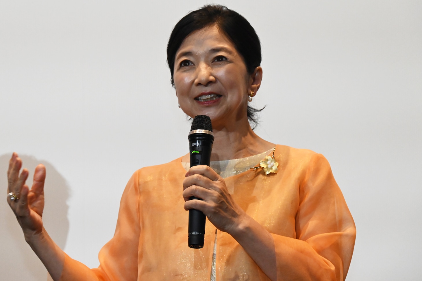 宮崎美子