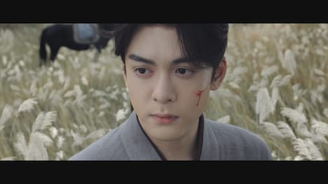 中国ドラマ「田園ロマンス～恋の収穫祭～」場面写真。ツォン・シュンシー（曾舜晞）演じる沈諾（シェン・ヌオ）