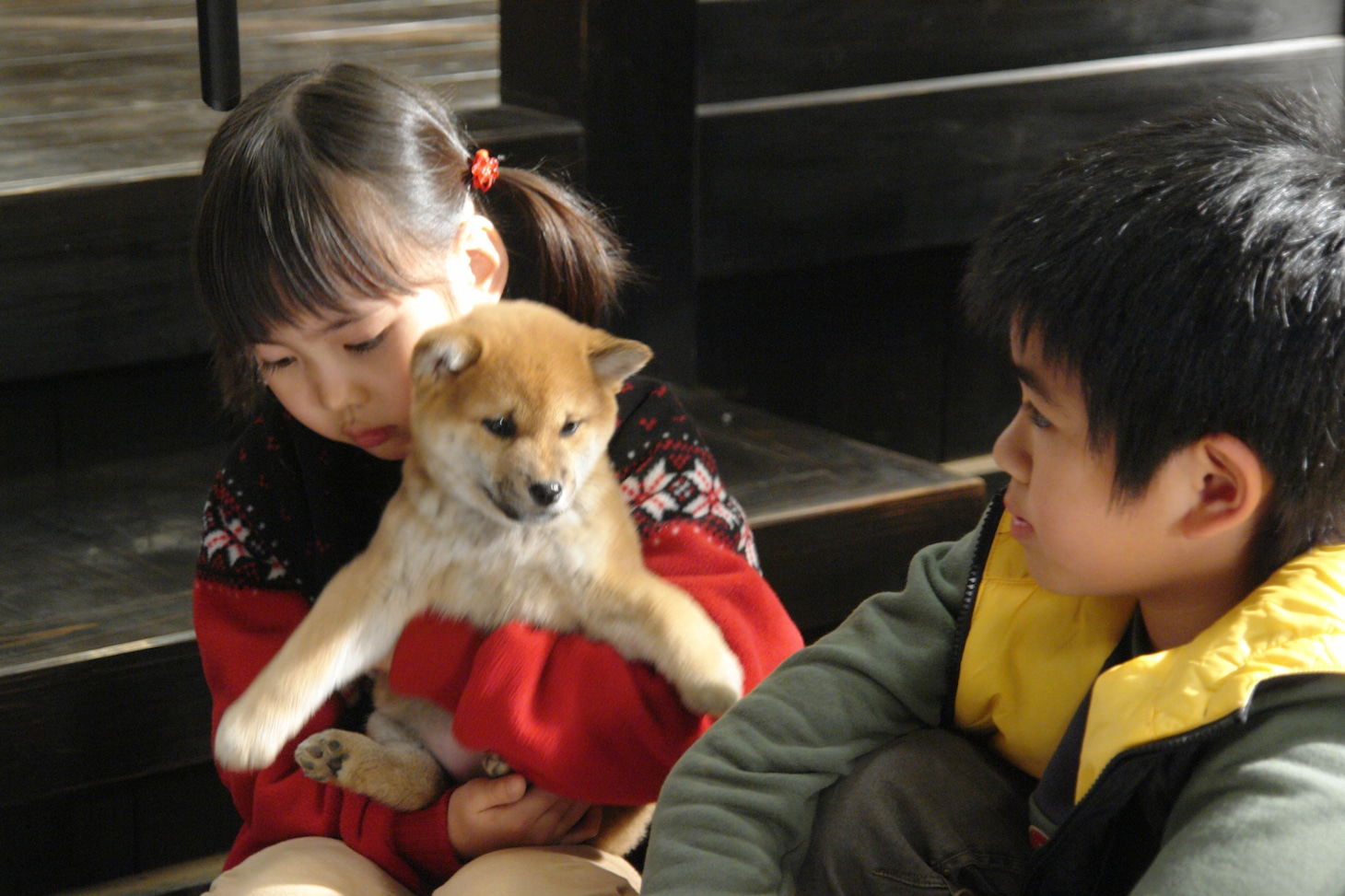 映画「マリと子犬の物語」場面写真 ©︎2007 「マリと子犬の物語」製作委員会