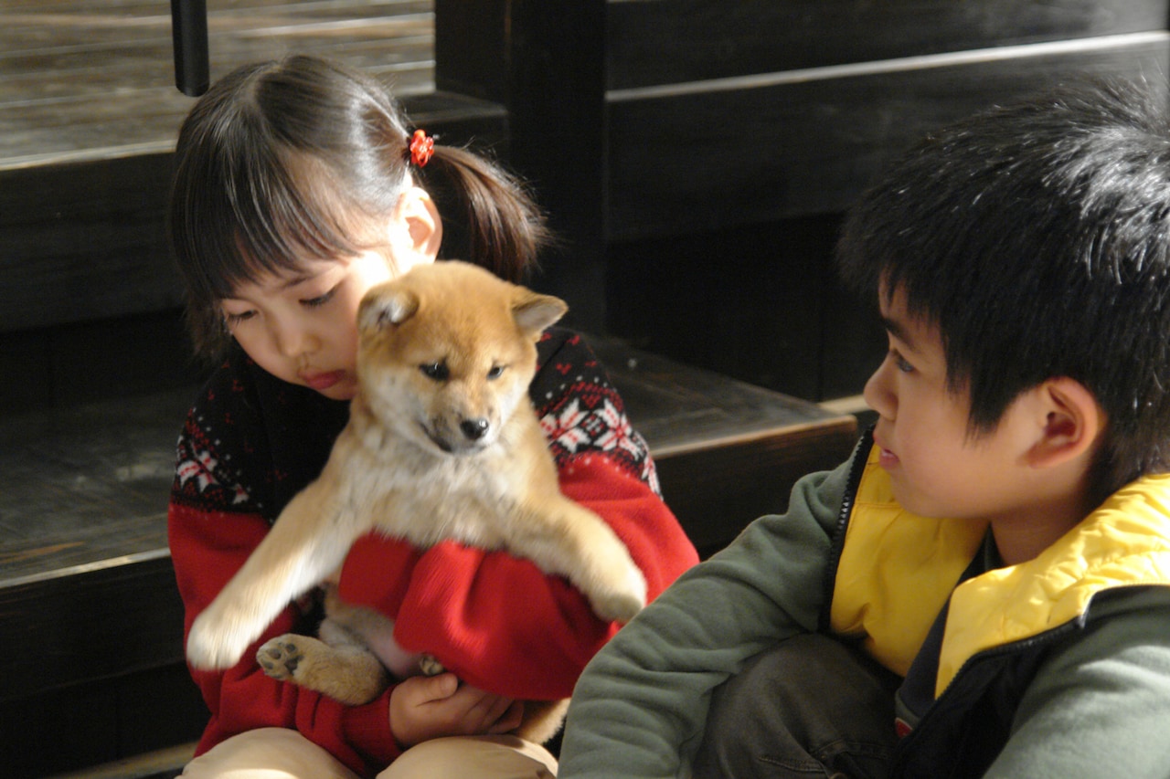 映画「マリと子犬の物語」場面写真 ©︎2007 「マリと子犬の物語」製作委員会