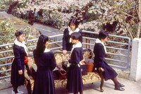 「櫻の園」場面写真 ©日活