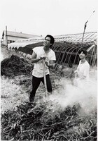 「遠雷」場面写真 ©1981日活/東宝