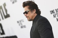 ベニチオ・デル・トロ