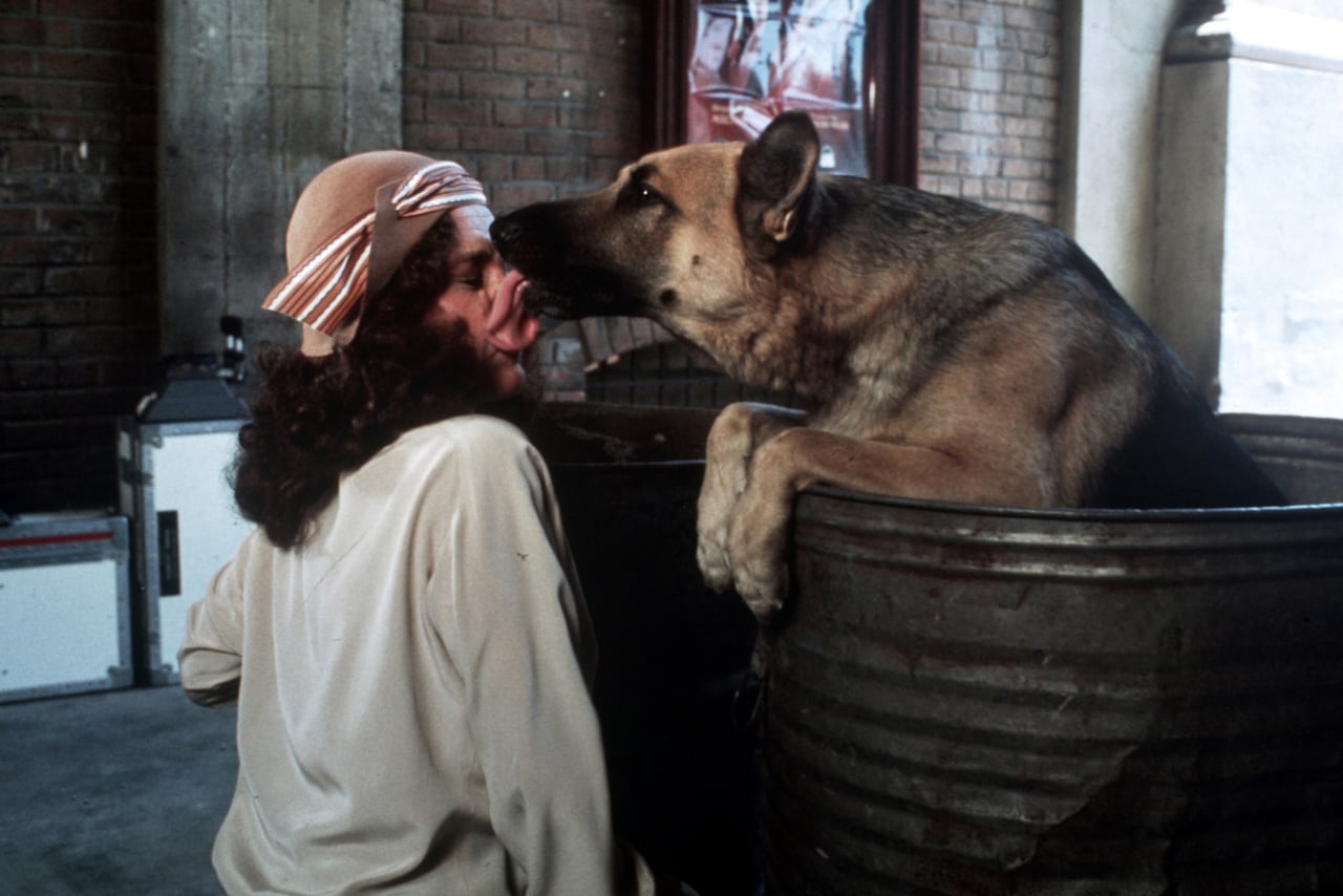 「名犬ウォン・トン・トン」場面写真 ©2002 松竹／日本テレビ／住友商事／博報堂／日販／松竹ブロードキャスティング