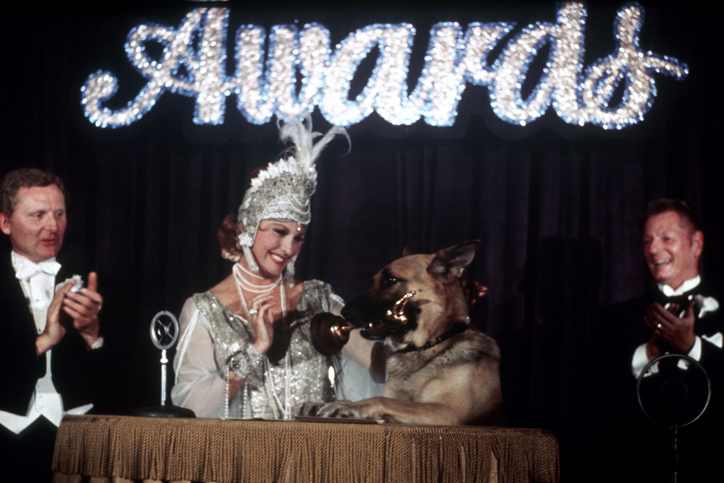 「名犬ウォン・トン・トン」場面写真 ©2002 松竹／日本テレビ／住友商事／博報堂／日販／松竹ブロードキャスティング