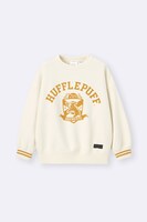 KIDS（男女兼用）ヘビーウェイトスウェットプルオーバー Harry Potter（税込2290円）