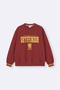MEN ヘビーウェイトスウェットプルオーバー Harry Potter（税込2990円）