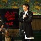 「オリバーな犬」50匹の犬に向け試写会実施、オダギリジョー「落ち着いて観てください」