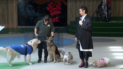 「THE オリバーな犬、(Gosh!!)このヤロウ MOVIE」わんこ試写会の様子