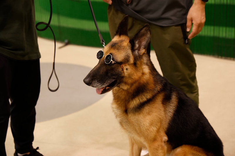 サングラス姿で登場したフィリップ