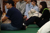 「THE オリバーな犬、(Gosh!!)このヤロウ MOVIE」わんこ試写会の様子