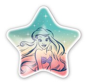 F賞のスタープレート（全5種）