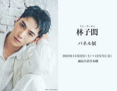 awesome! presents「林子閎（リン・ズーホン）パネル展」ビジュアル