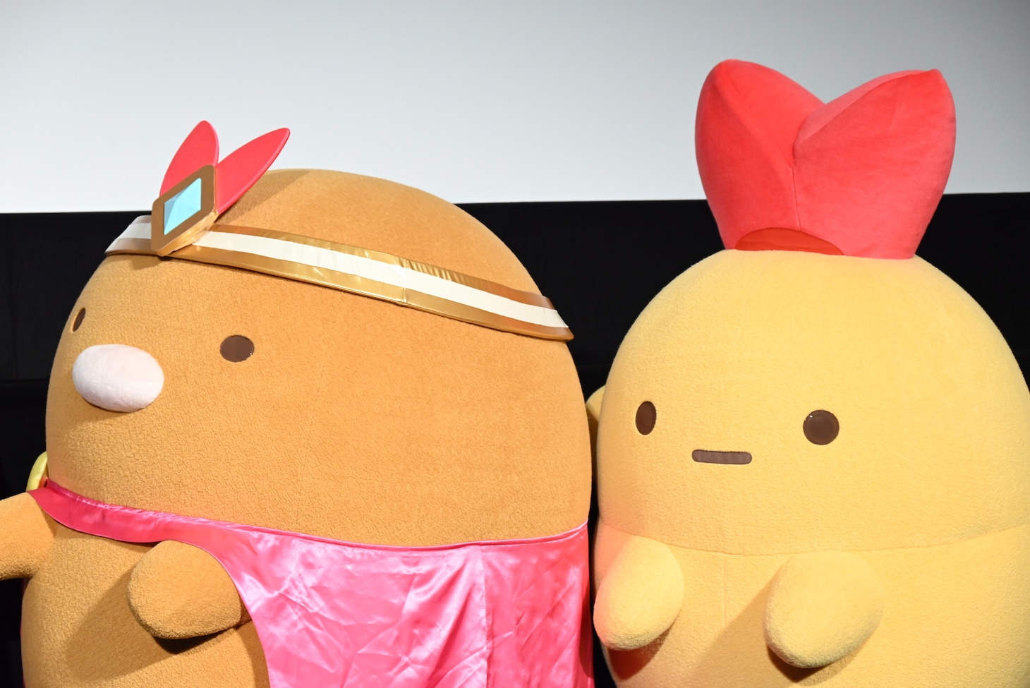 本上まなみに選ばれなかった、とんかつ（左）とえびふらいのしっぽ（右）