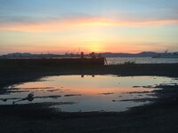 「きみの鳥はうたえる」オリジナルグッズの缶バッジセットに付くポストカード