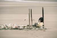 「ザ・カース」場面写真