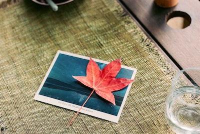 映画「楓」場面写真