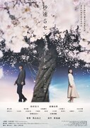実写映画「秒速5センチメートル」新ビジュアル