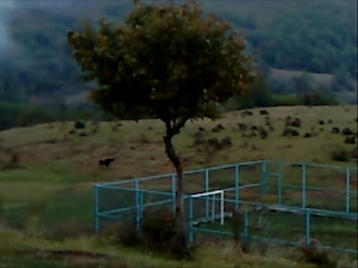 「枯れ葉」場面写真