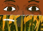 「オリビアと雲」場面カット