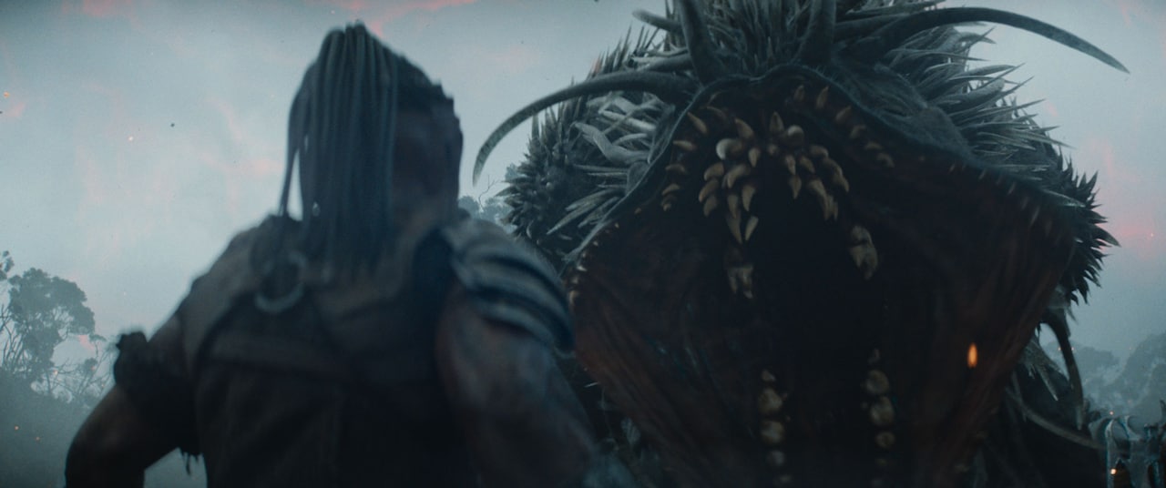 プレデター：バッドランド」場面写真 - 「プレデター：バッドランド