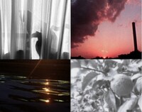 「クロベニグンジョウシロレモン」場面写真