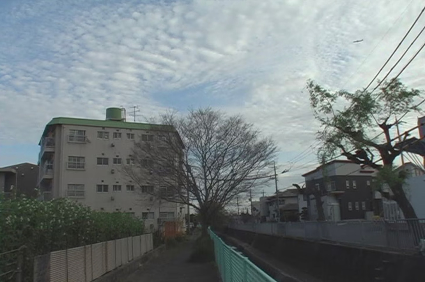 「伊丹 2009年初夏―晩秋」場面写真
