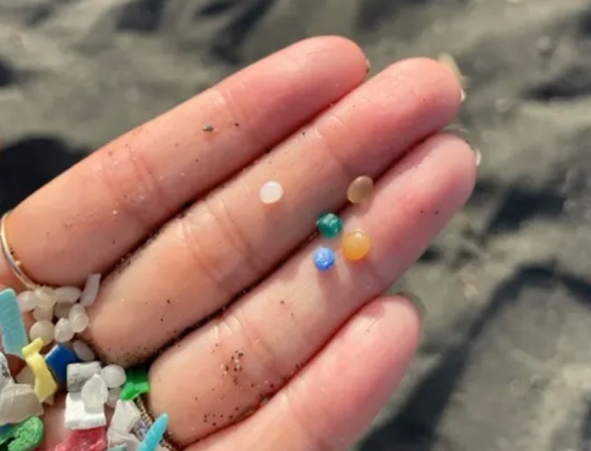 マイクロプラスチック