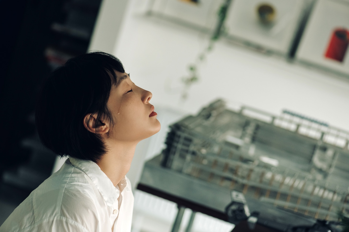 中国映画「春の木」（春树）場面写真