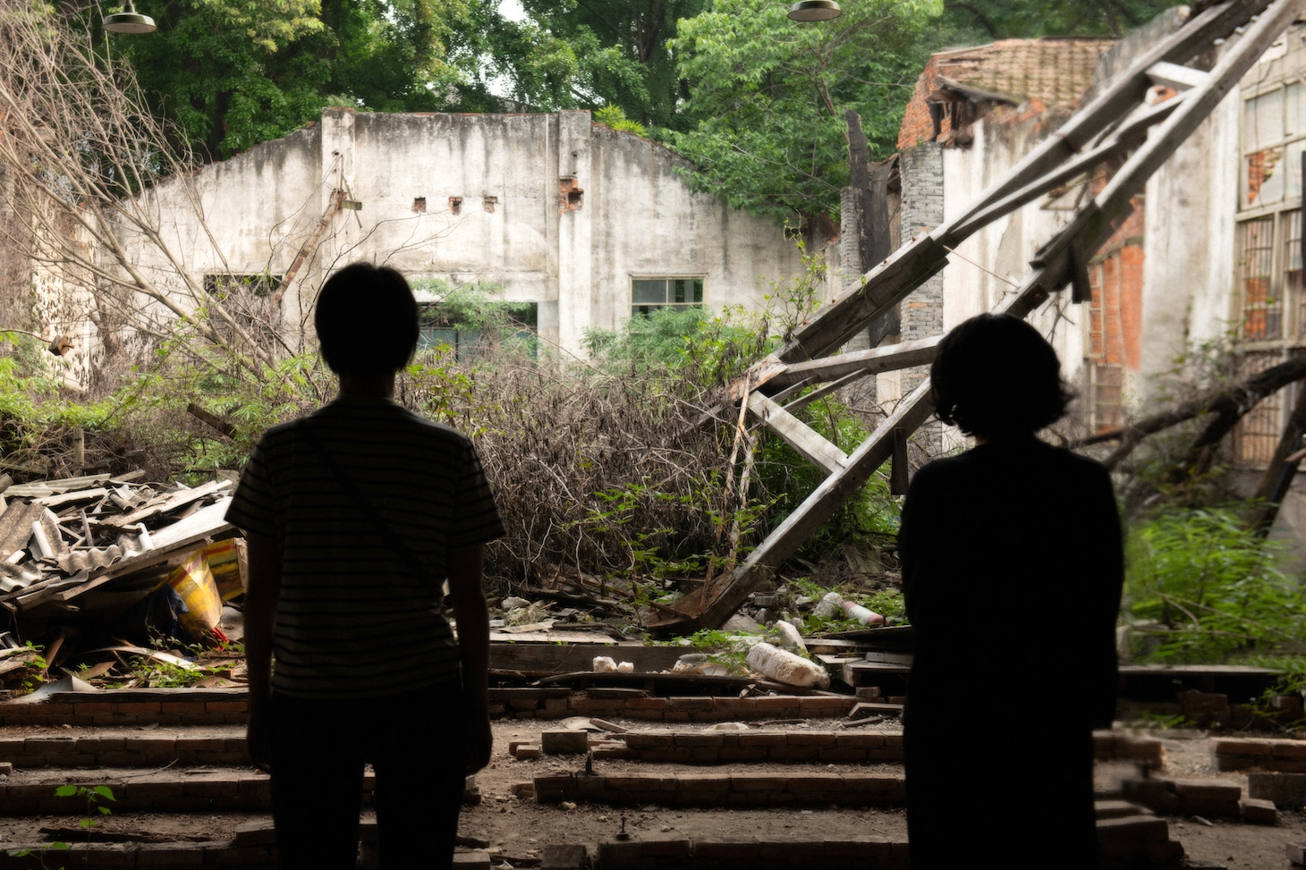 中国映画「春の木」（春树）場面写真